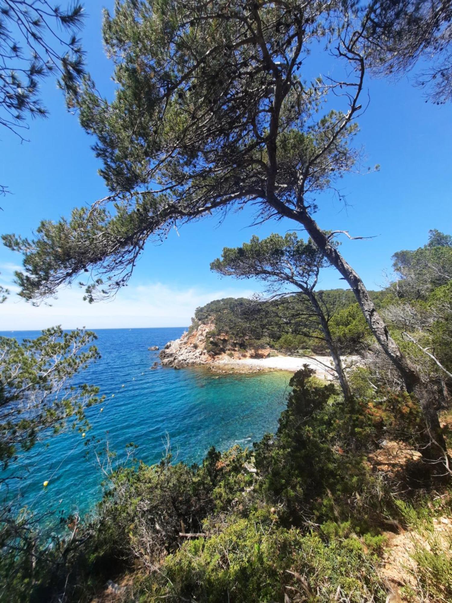 Maison Independante Avec Piscine Privative Pres De La Mer La Garde  Eksteriør billede